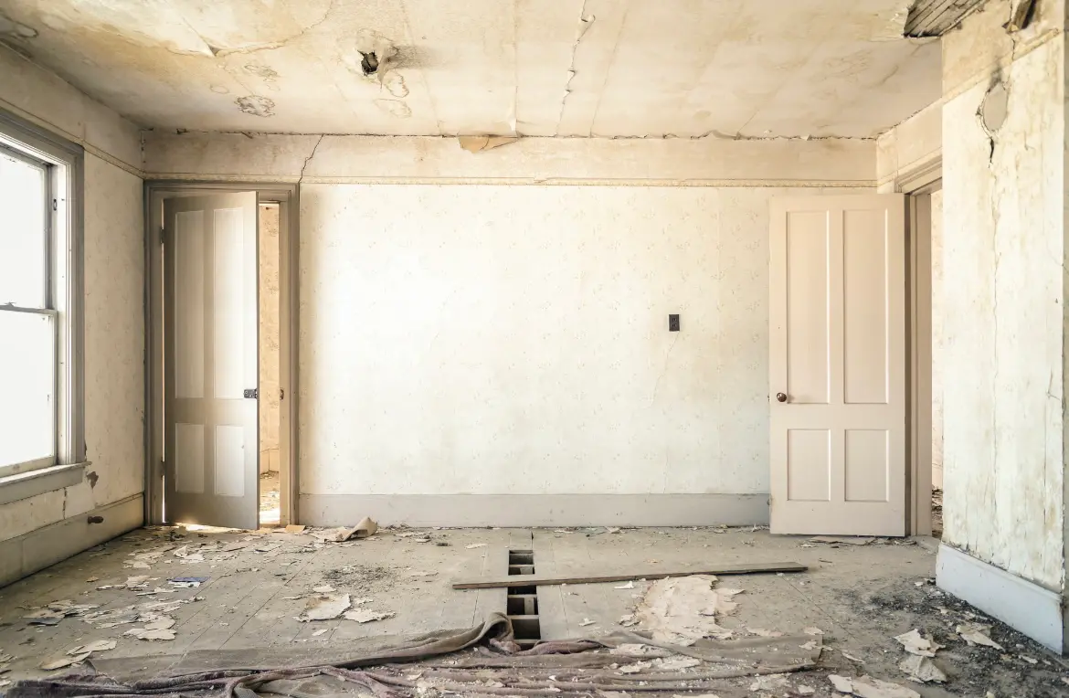 Waste disposal crew managing a cleanout project in Wailua Homesteads